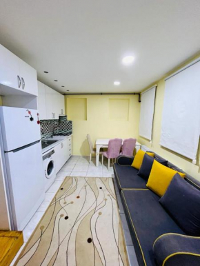 Dublex flat in taksim